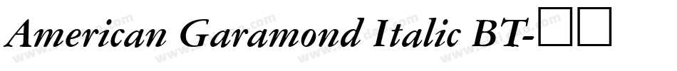 American Garamond Italic BT字体转换